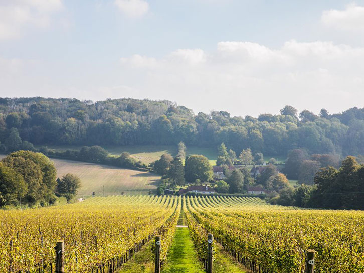 wb wines and brands