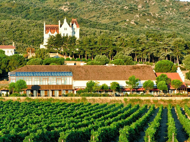 Chateau valmy