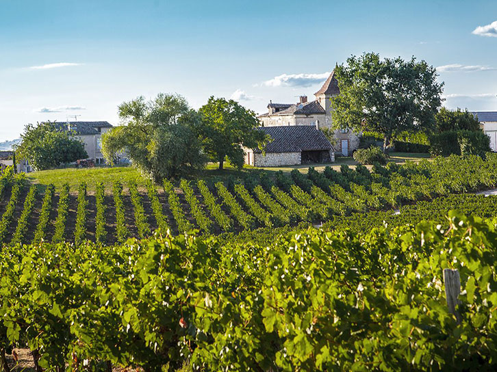 Les Vignobles Gayrel